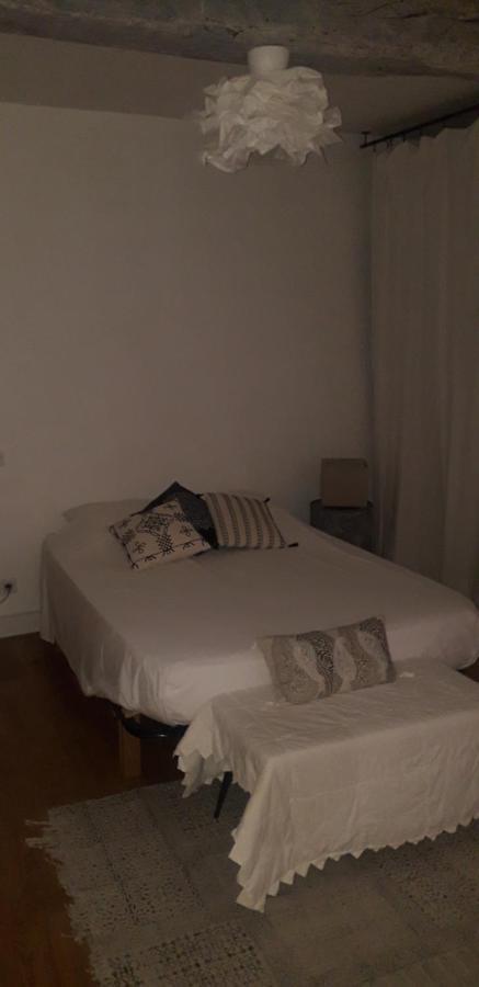 Appartement Cosy Au Coeur Du Centre Historique. アルル エクステリア 写真